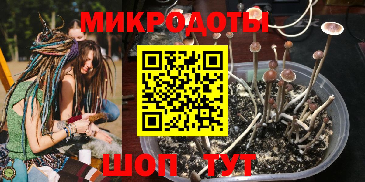 Реж  Псилоцибиновые грибы Magic Shrooms  Вход с VPN 